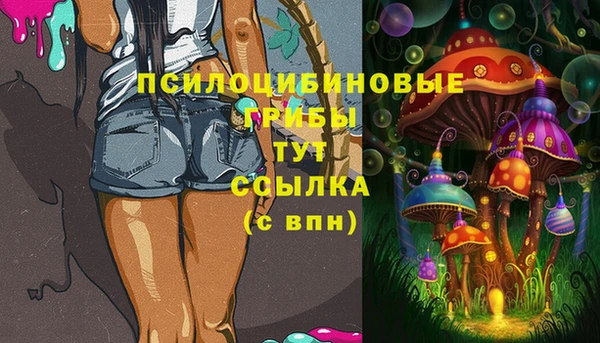 дмт Алексин