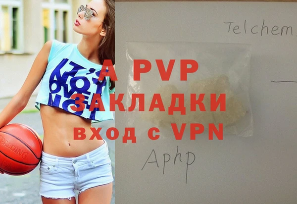 дмт Алексин