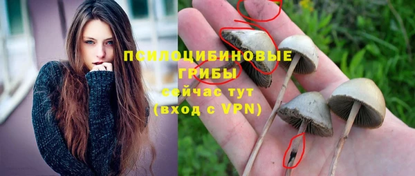 дмт Алексин